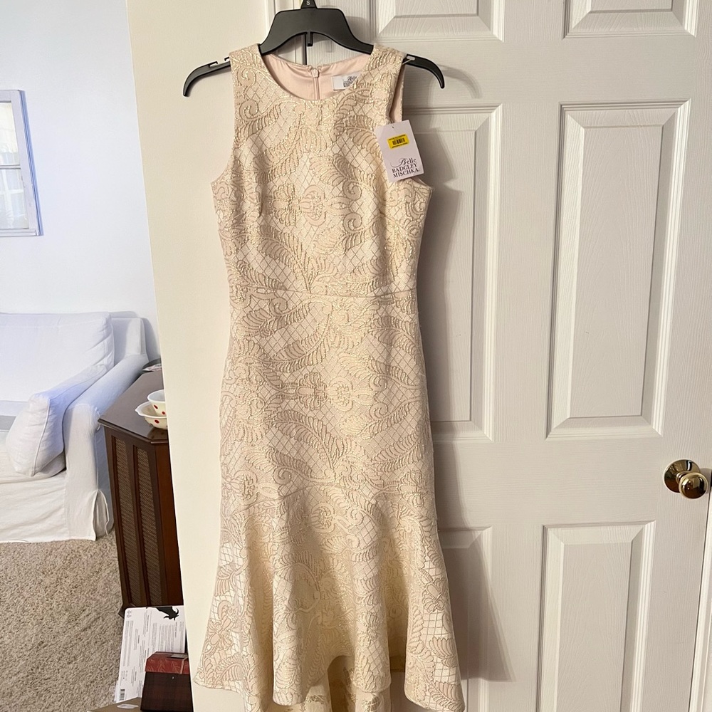 NWT Badgley Mischka dress